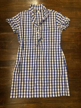 J. CREW Factory-  Blue and White Gingham Dress, Size Medium